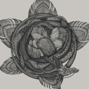 8090午夜福利视频在线观看
