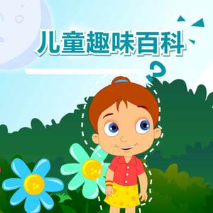 8090午夜福利视频在线观看
